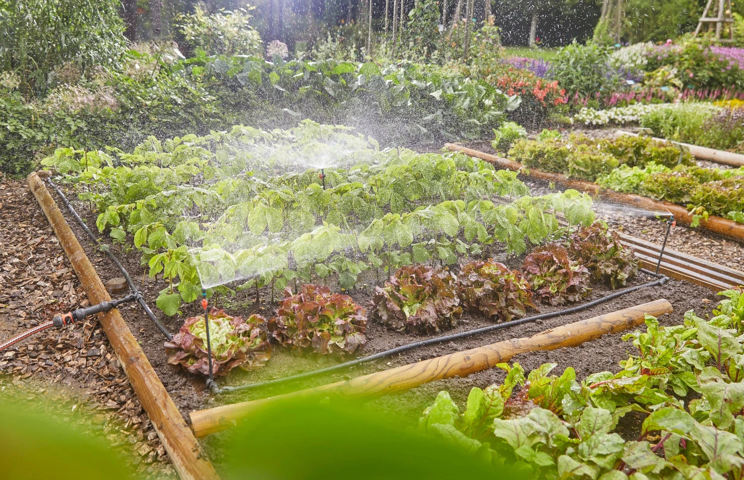 Gardena Micro Drip Systeem Druppelaar Startset Bloembedden En Moestuinen 60 M² 5 Gardena Micro Drip Systeem Druppelaar Startset Bloembedden En Moestuinen 60 M² - Afbeelding 5