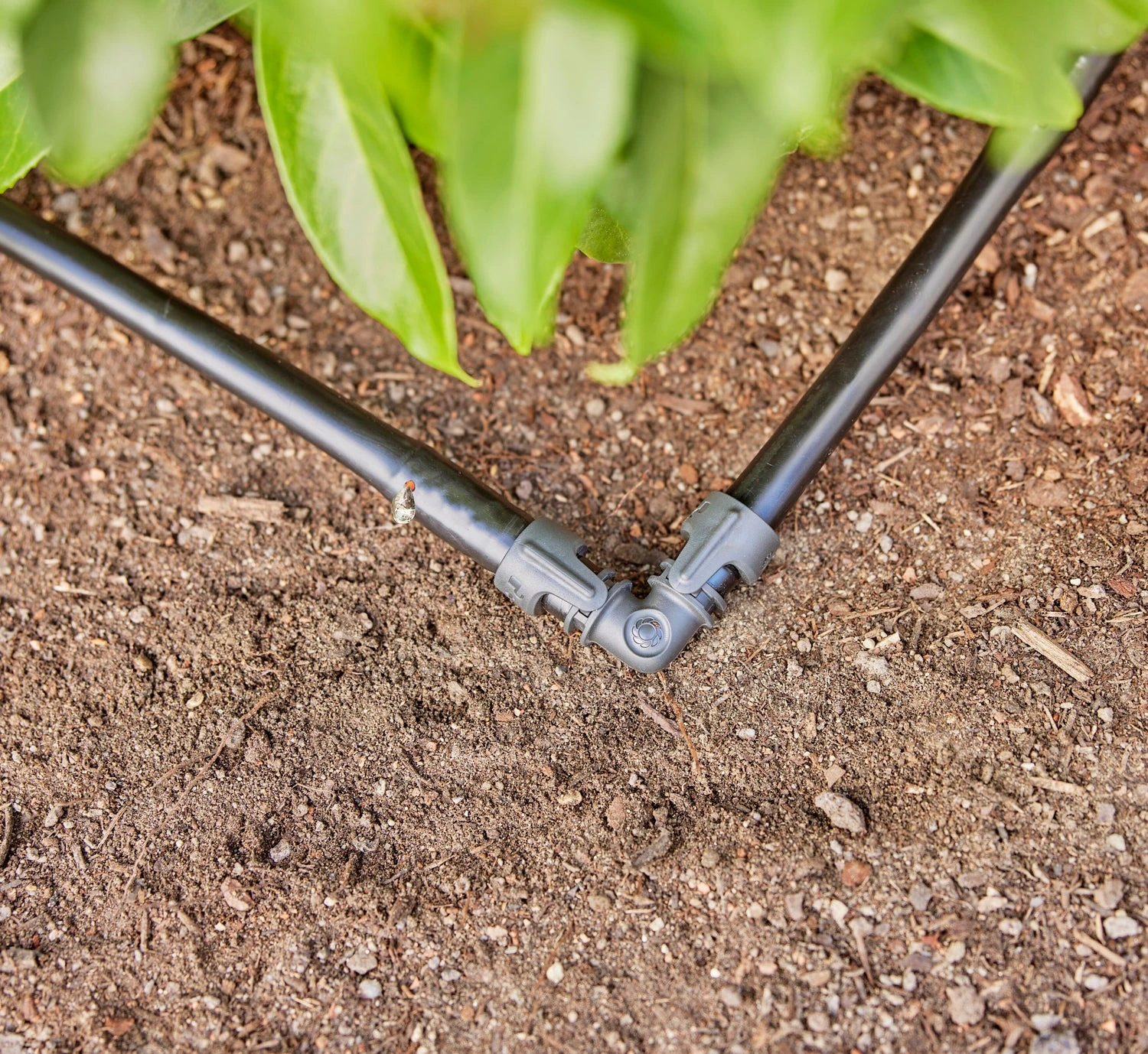 Gardena Micro Drip Systeem Druppelaar Startset Heggen En Struiken 25 M 7 Gardena Micro Drip Systeem Druppelaar Startset Heggen En Struiken 25 M - Afbeelding 7