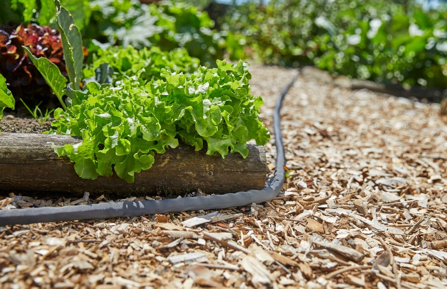 Gardena Tuinslang Liano 15 M 3 Gardena Tuinslang Liano 15 M - Afbeelding 3