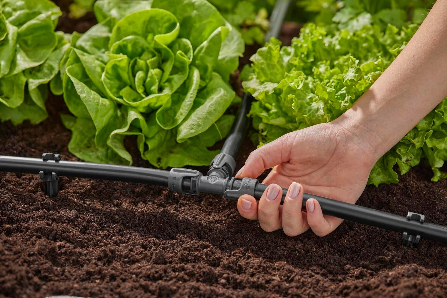 Gardena Micro Drip Systeem T-stuk 13 Mm 1/2 Inch 6 Gardena Micro Drip Systeem T-stuk 13 Mm 1/2 Inch - Afbeelding 6