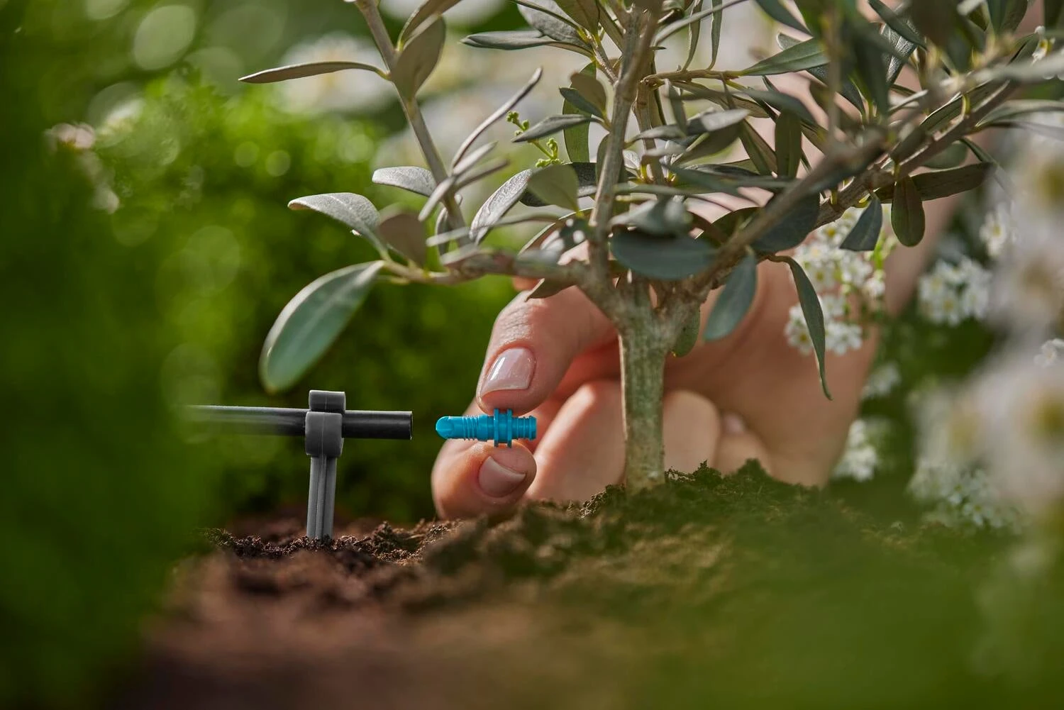 Gardena Micro Drip Systeem Einddruppelaar 2 L 4 Gardena Micro Drip Systeem Einddruppelaar 2 L - Afbeelding 4