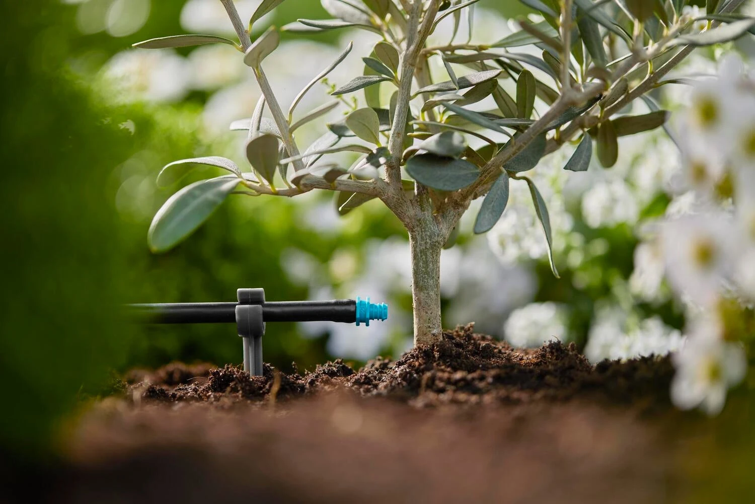 Gardena Micro Drip Systeem Einddruppelaar 2 L 5 Gardena Micro Drip Systeem Einddruppelaar 2 L - Afbeelding 5