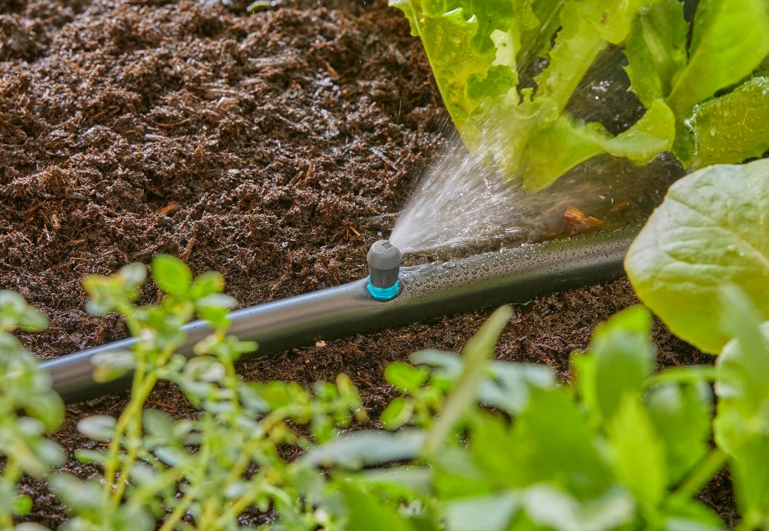 Gardena Micro Drip Systeem Eindsproeikop 5 Stuks 7 Gardena Micro Drip Systeem Eindsproeikop 5 Stuks - Afbeelding 7