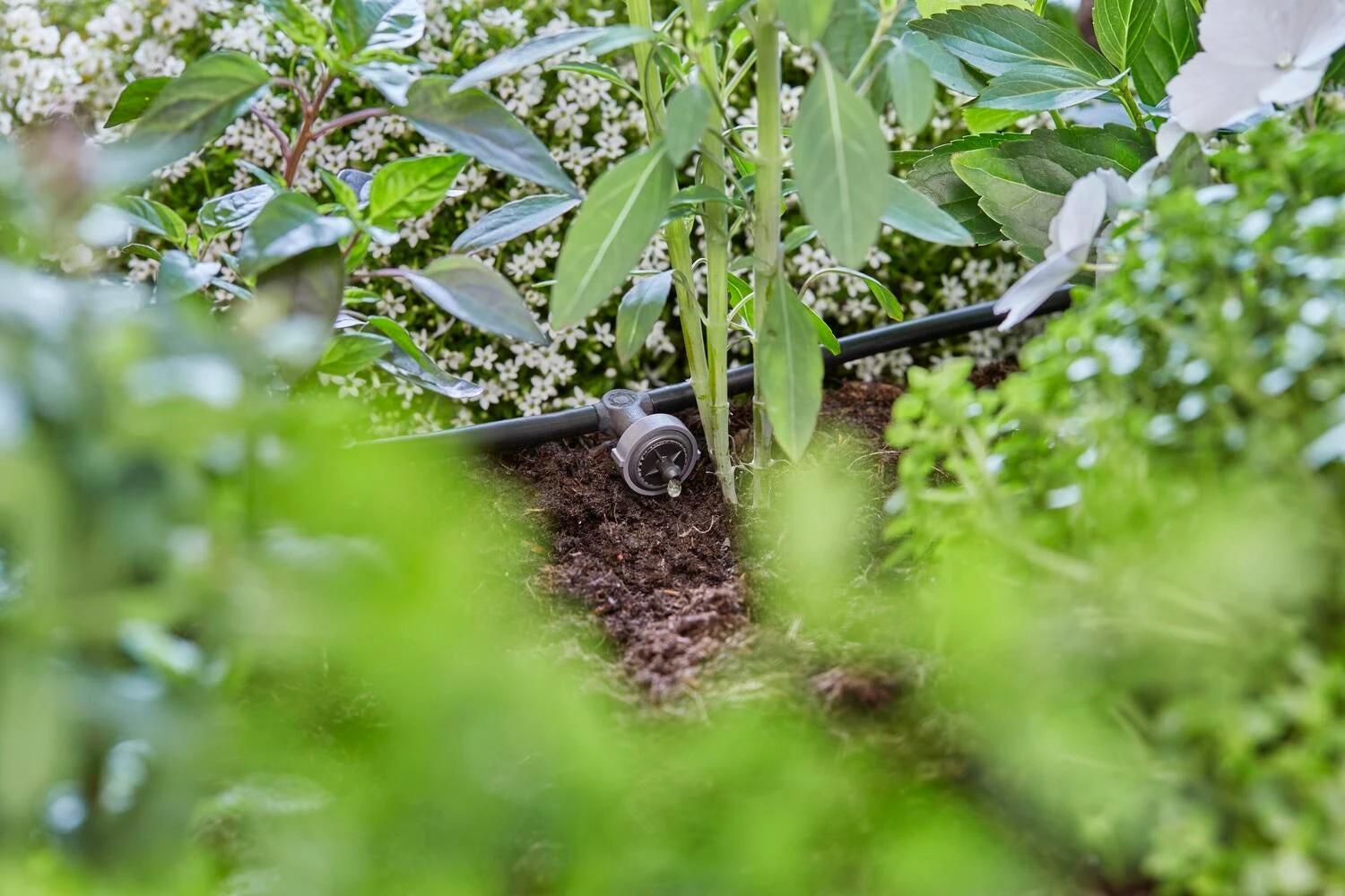 Gardena Micro Drip Systeem Drukcompenserende Seriedruppelaar 2 L 3 Gardena Micro Drip Systeem Drukcompenserende Seriedruppelaar 2 L - Afbeelding 3