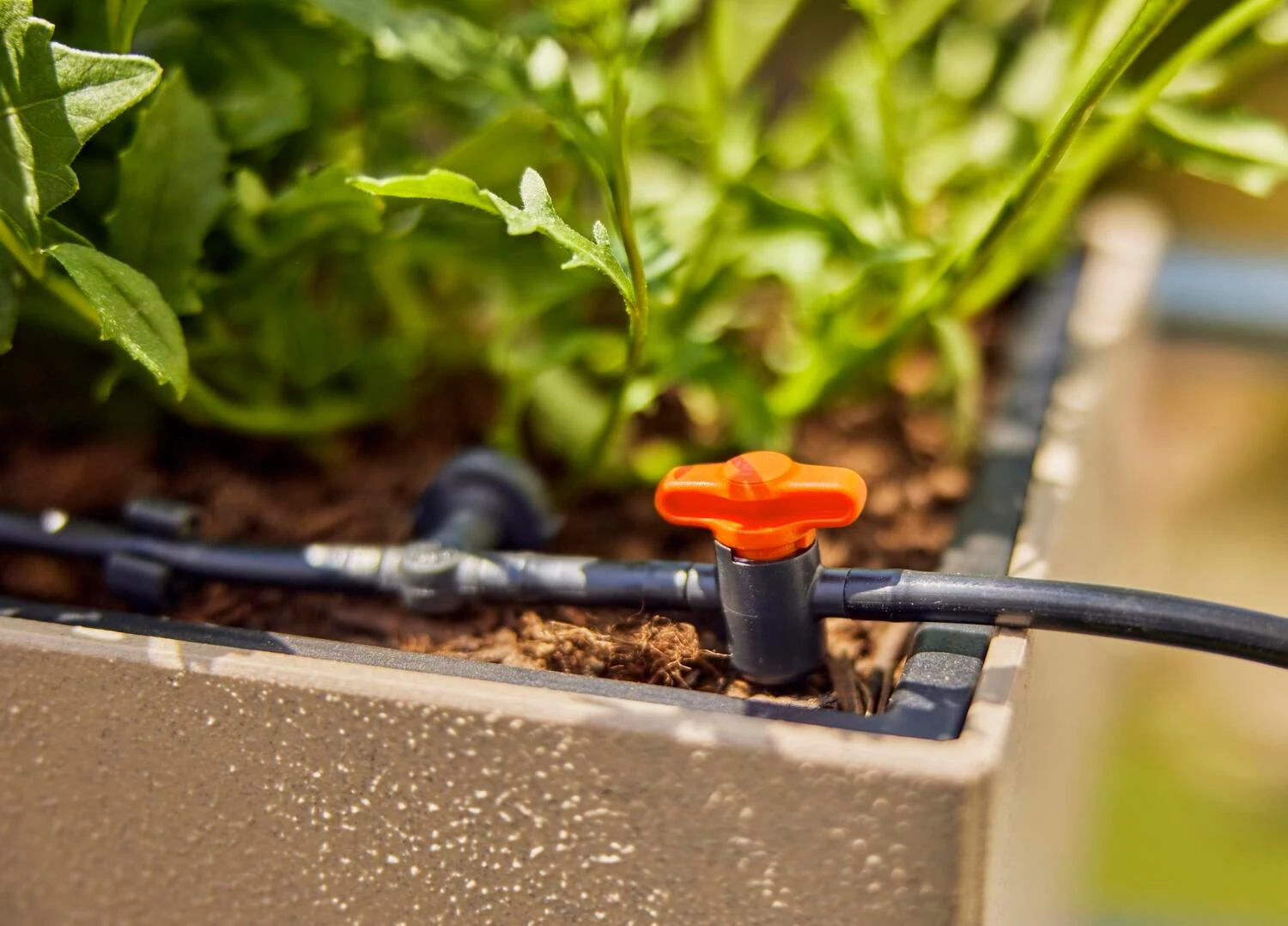 Gardena Micro Drip Systeem Drukcompenserende Seriedruppelaar 2 L 4 Gardena Micro Drip Systeem Drukcompenserende Seriedruppelaar 2 L - Afbeelding 4