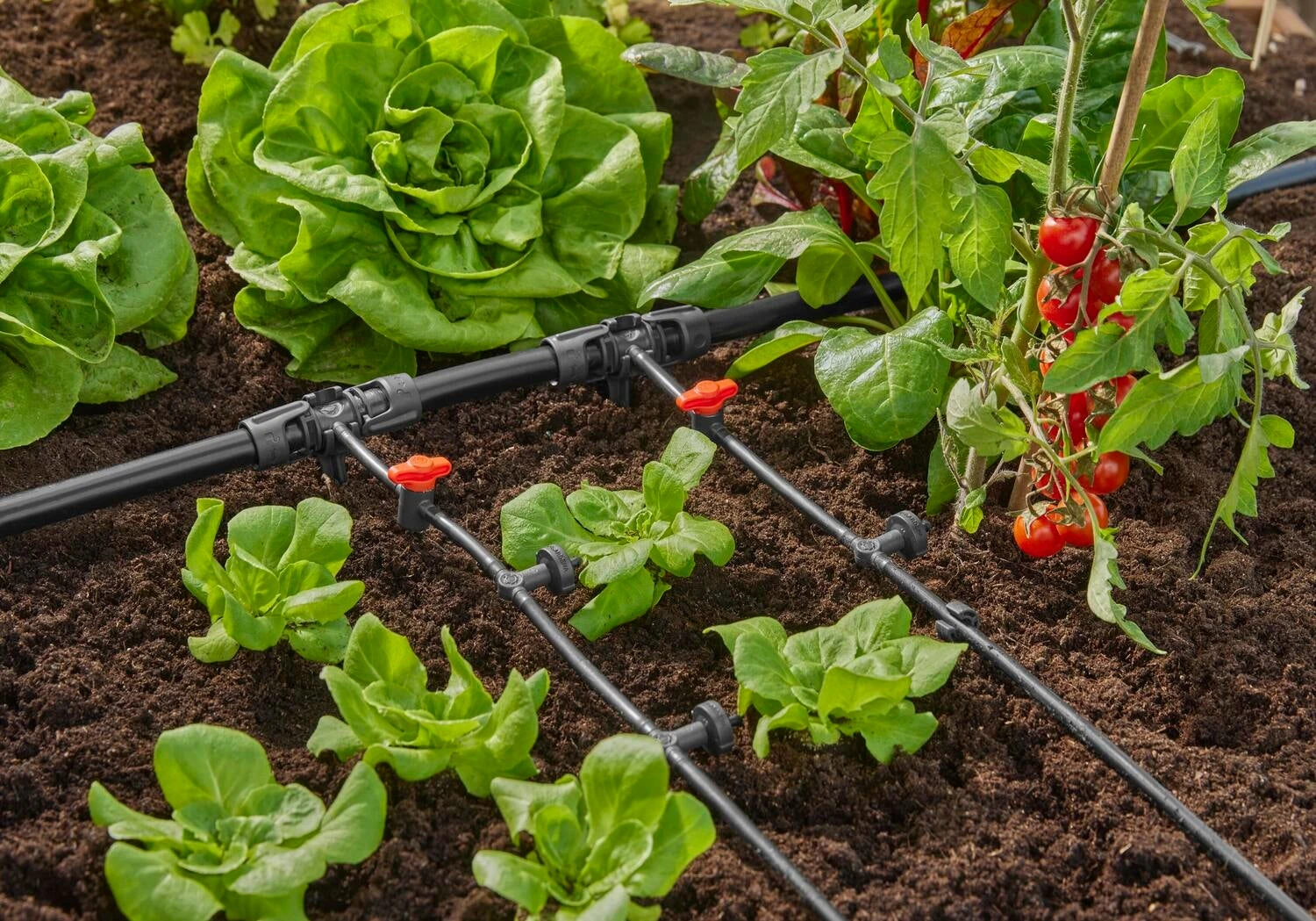 Gardena Micro Drip Systeem Drukcompenserende Seriedruppelaar 2 L 5 Gardena Micro Drip Systeem Drukcompenserende Seriedruppelaar 2 L - Afbeelding 5