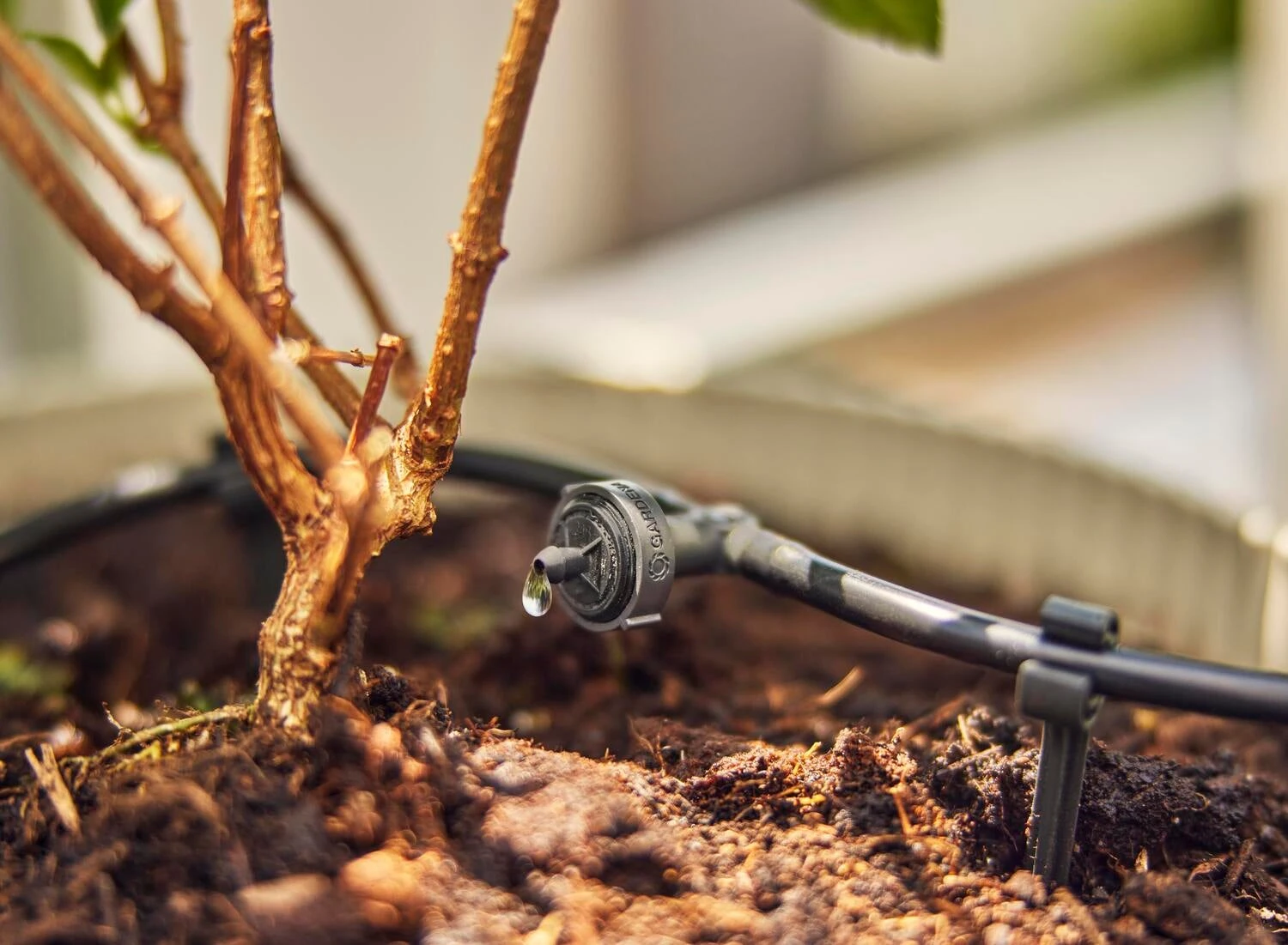 Gardena Micro Drip Systeem Drukcompenserende Seriedruppelaar 2 L 6 Gardena Micro Drip Systeem Drukcompenserende Seriedruppelaar 2 L - Afbeelding 6