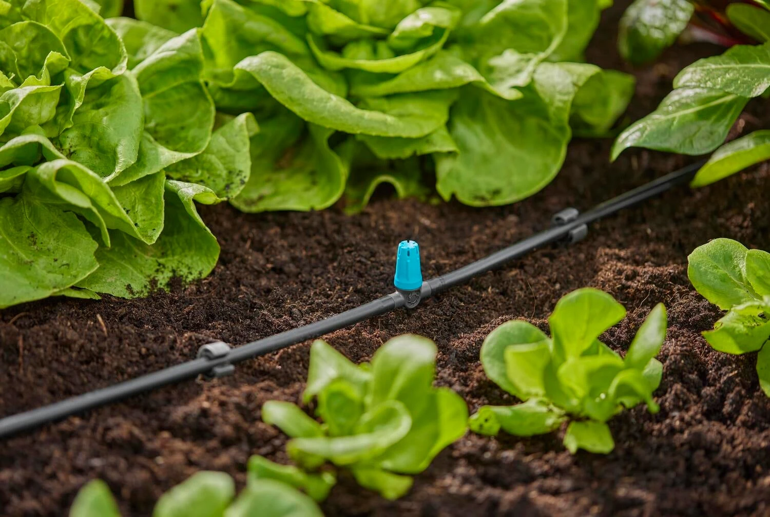 Gardena Micro Drip Systeem T-sproeier Kleine Oppervlakte 4 Gardena Micro Drip Systeem T-sproeier Kleine Oppervlakte - Afbeelding 4