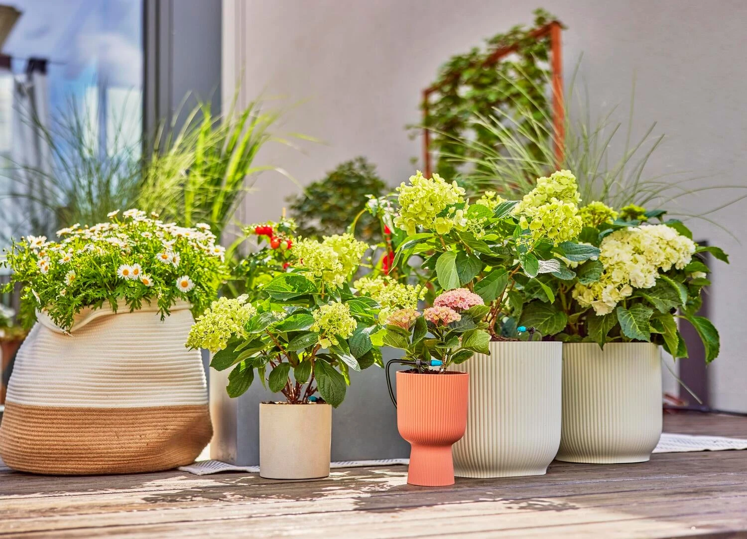 Gardena Micro Drip Systeem Seriedruppelaar 2 L 9 Gardena Micro Drip Systeem Seriedruppelaar 2 L - Afbeelding 9