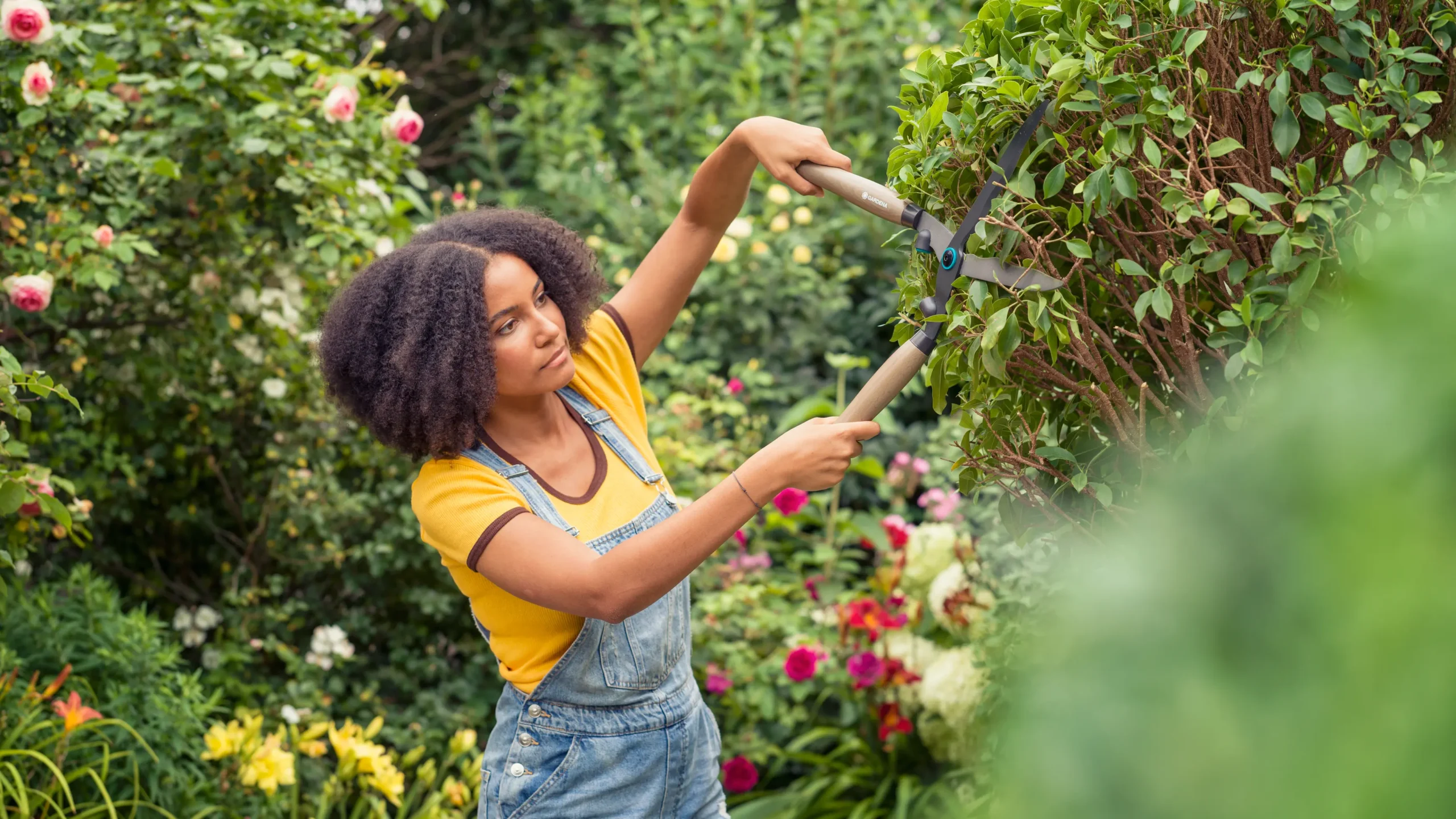 Over ons 1 Over ons -Gardena Winkel MI 777864 scaled