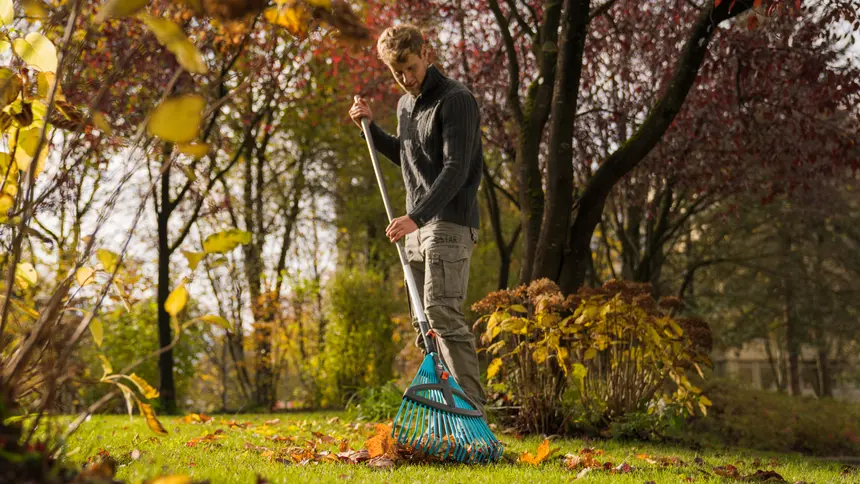 Herfstbladeren, wat doe je ermee? -Gardena Winkel QO 974150